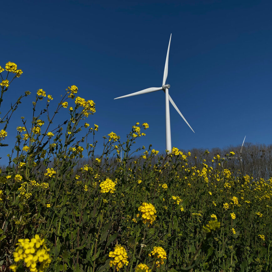 CW-windmolen-nijmegen-wpn-IMG_4729